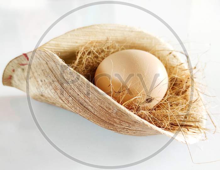 Farm Fresh Eggs In A Nest