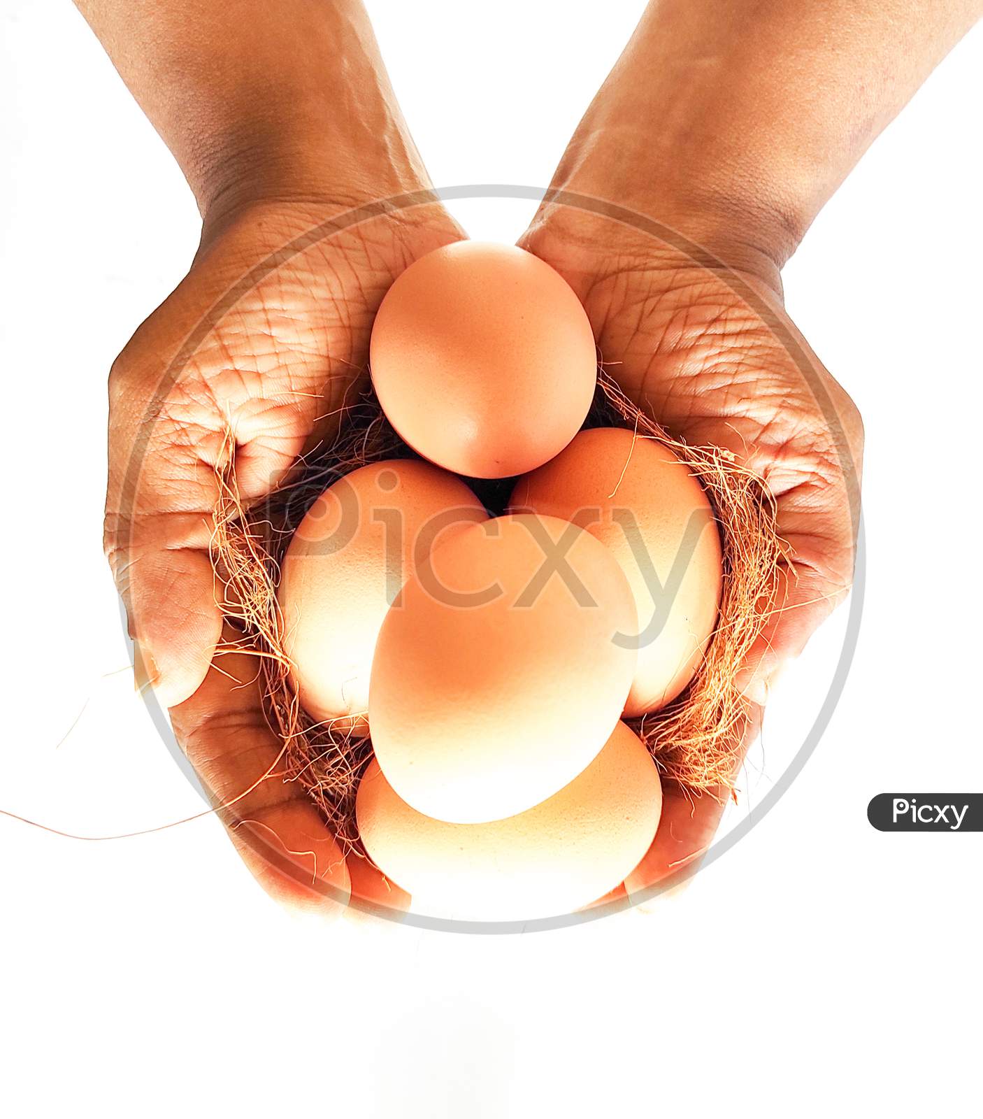 Farm Fresh Eggs - On  Farmers Hand - Concept