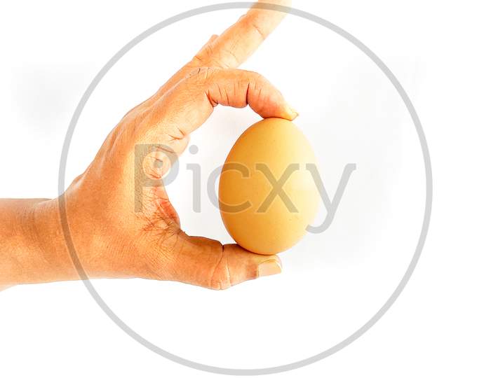 Woman Holding An Egg In Hand
