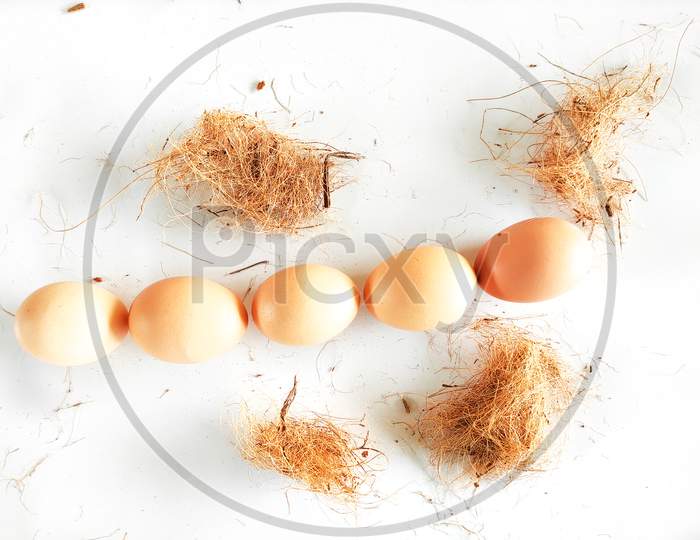Farm Fresh Eggs In A Line On A Table Surface