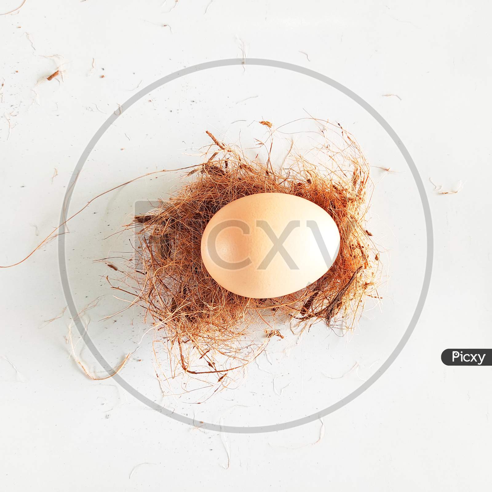 An Egg Inside A Nest