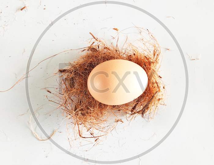 An Egg Inside A Nest
