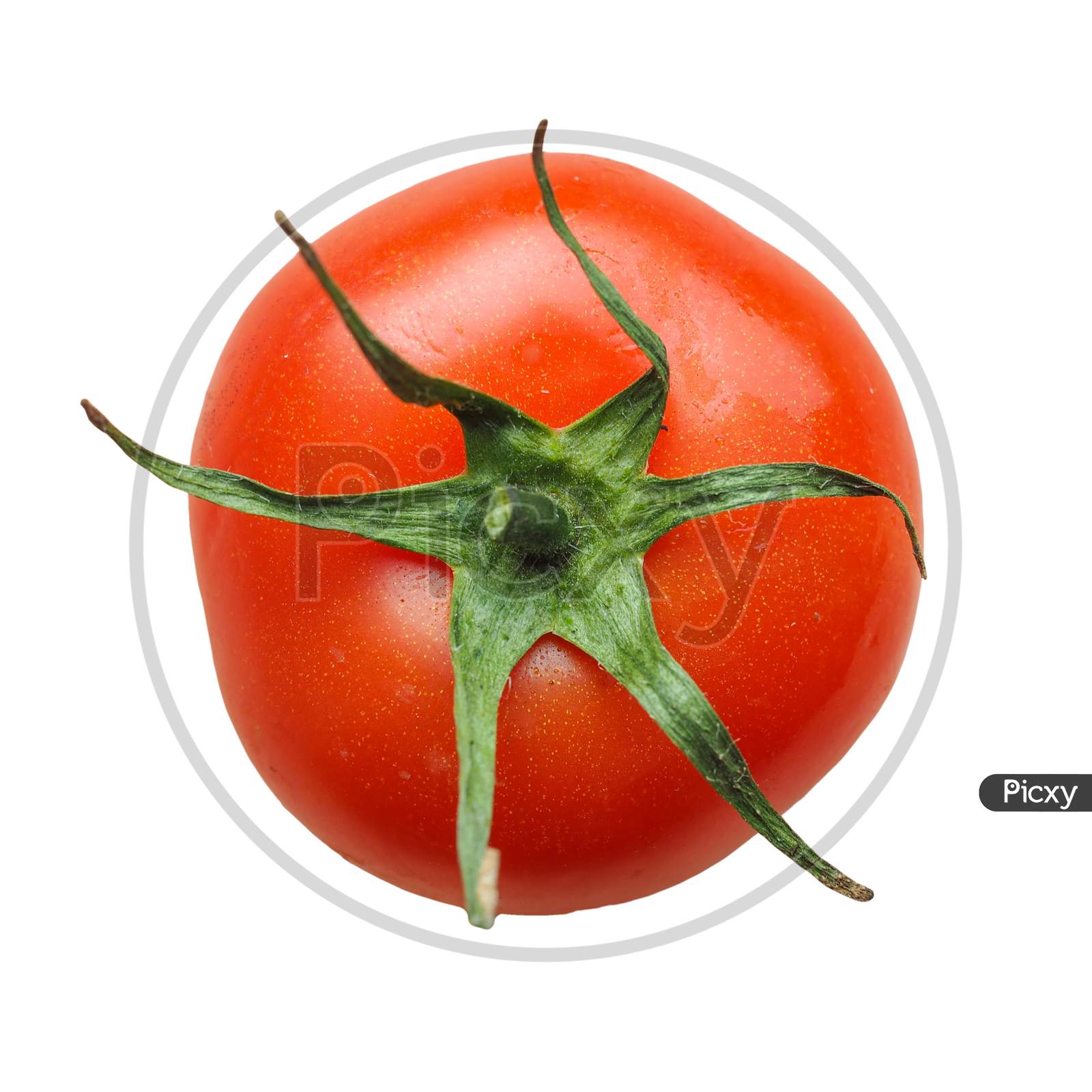 Red Tomato Isolated Over White