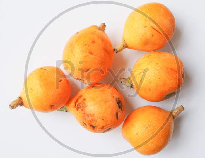Loquat Fruit