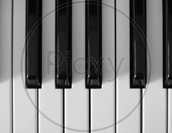 Keyboard Electronic Instrument