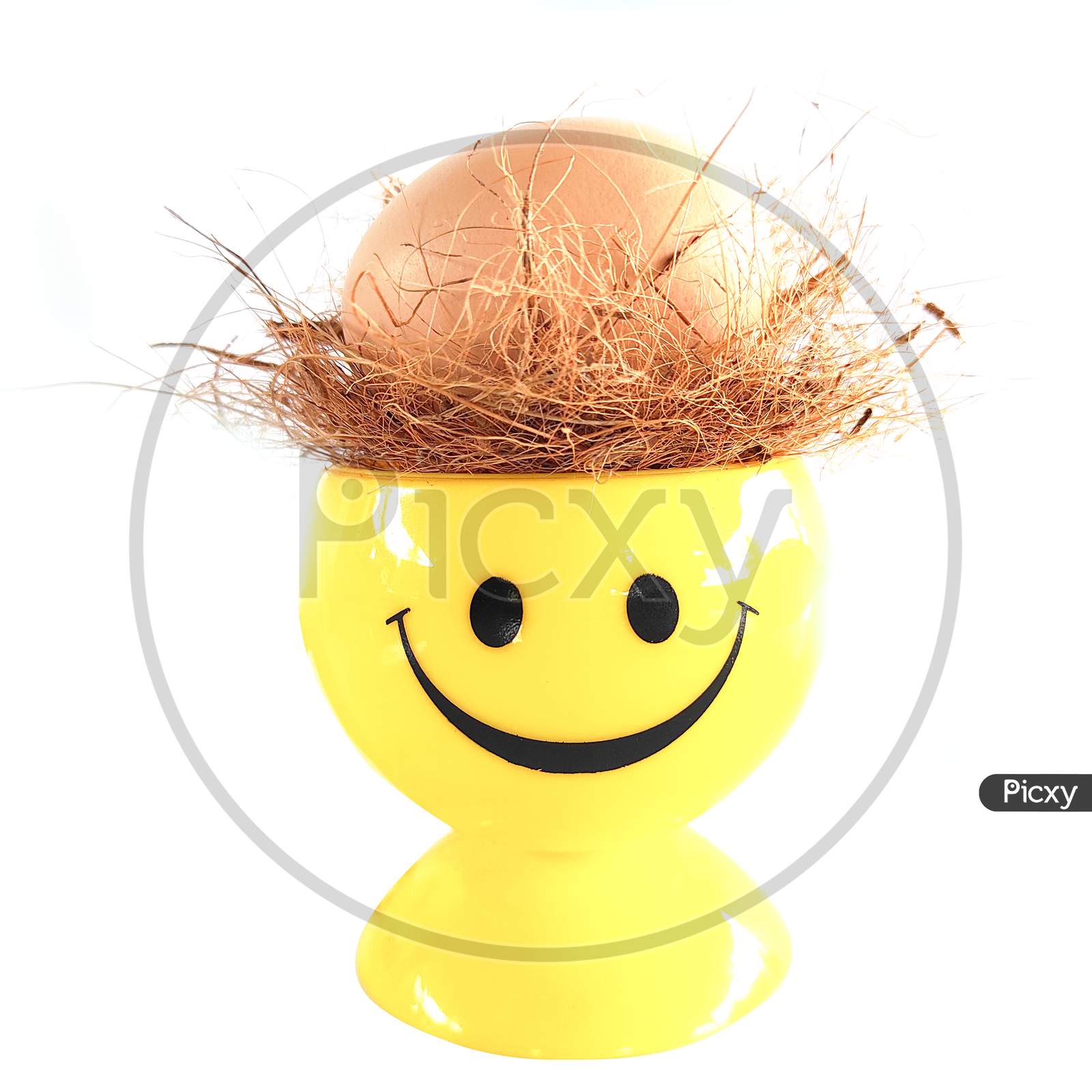 Farm Fresh Egg Smily Concept
