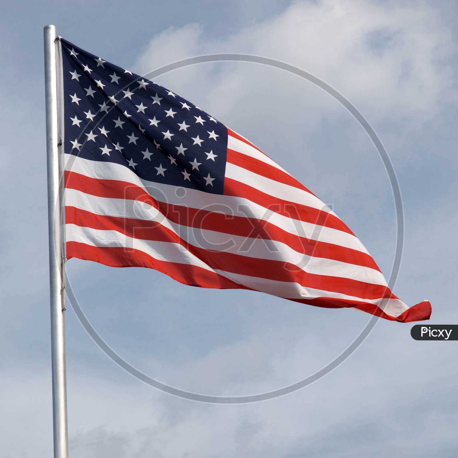Usa Flag Of The United States