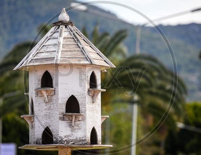White Wooden Birdhouse For Birds Stand In The Park On A Warm Summer Day