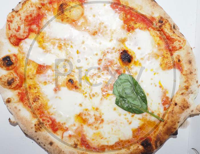 Margherita Pizza Food