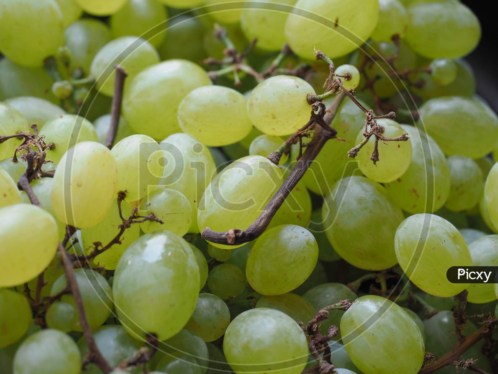 White Grape Fruit Food