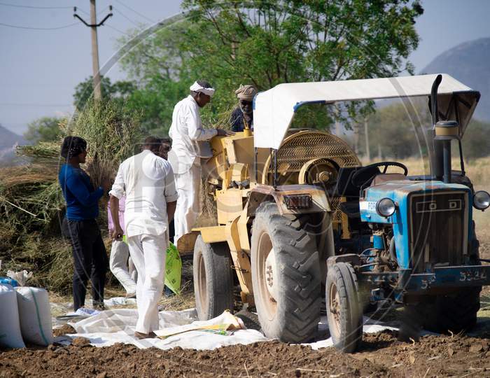 Farmers In Traditional Clothes Loading Grain Into A Tractor Where It Is Seperated From The Husk And The Husk Is Blown Out From The Side And The Grain Collected For Selling