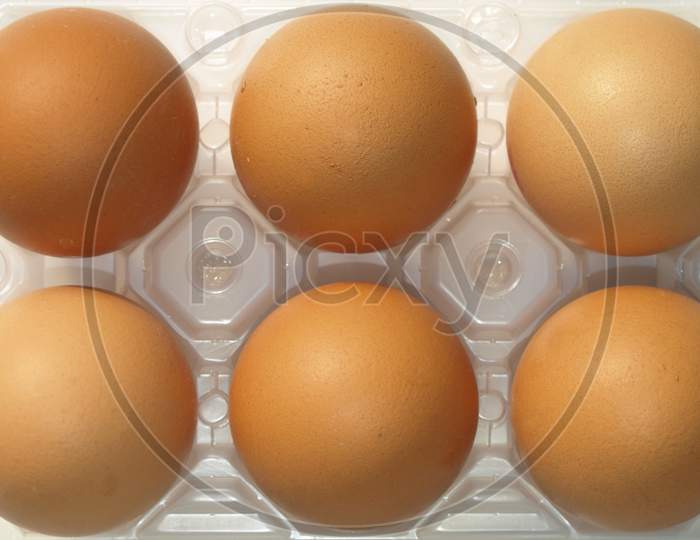 Six Eggs Carton