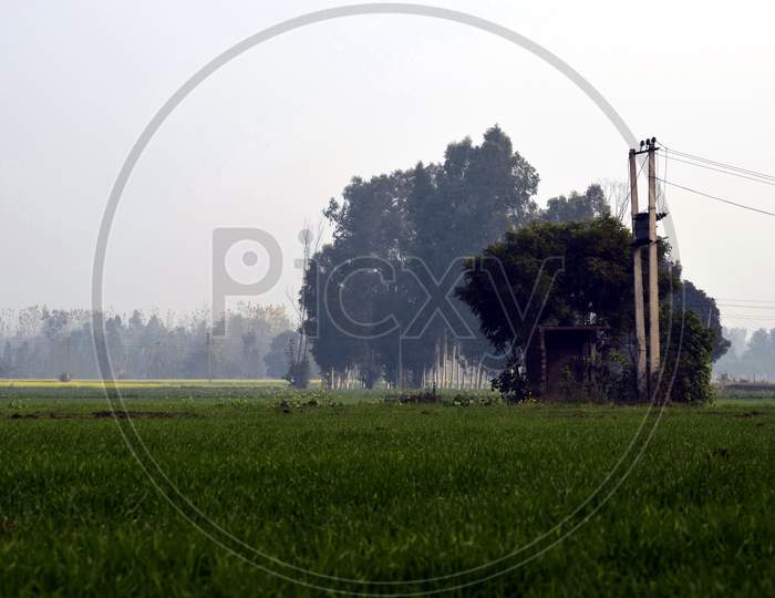 Beautiful Picture Of Electricity Pole In Green Field