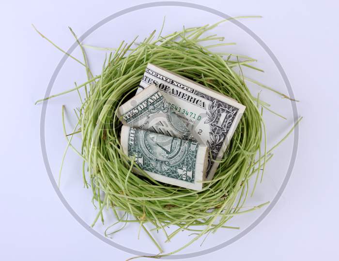 Us Currency Dollars Notes In A Bird'S Nest