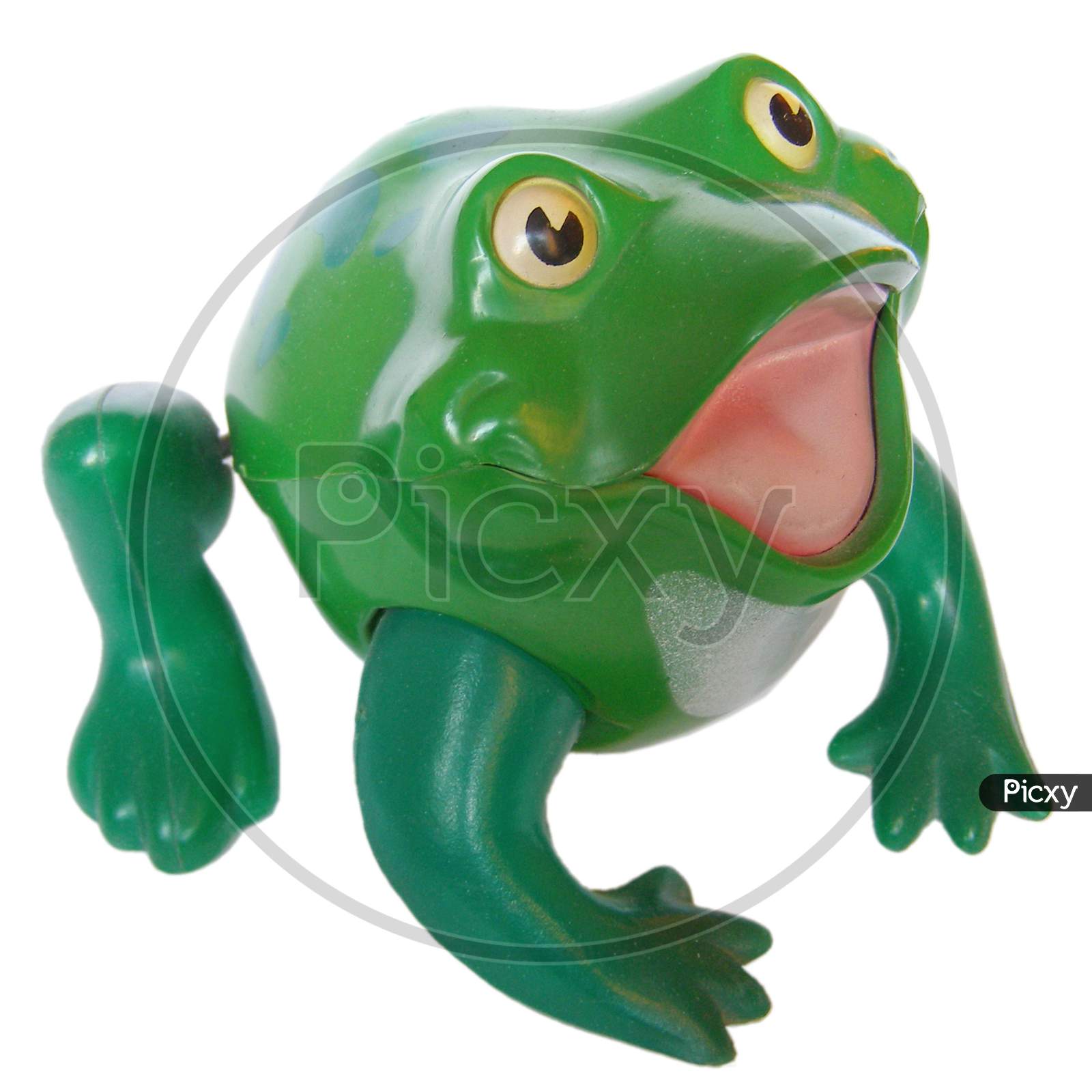 Toy Frog Isolated
