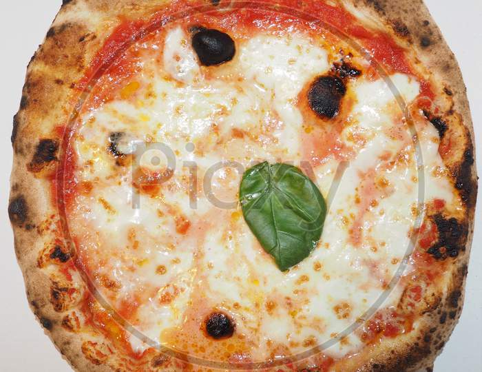 Margherita Pizza Food