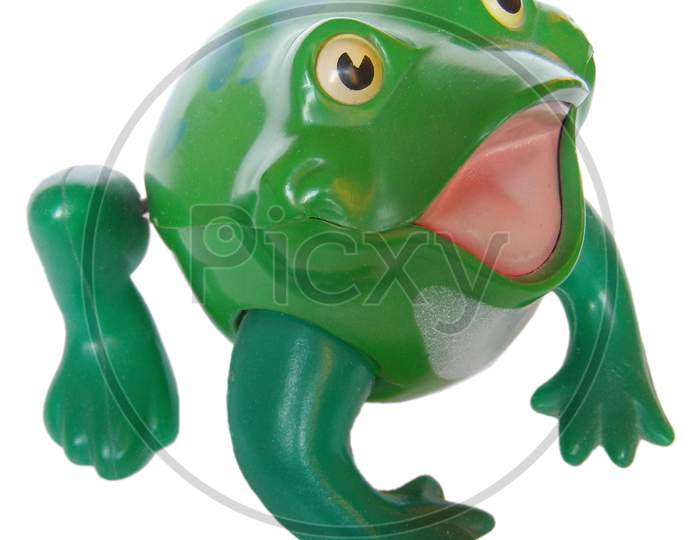 Toy Frog Isolated