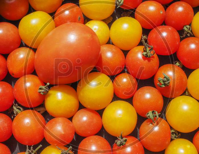 Cherry Tomato Vegetables Background