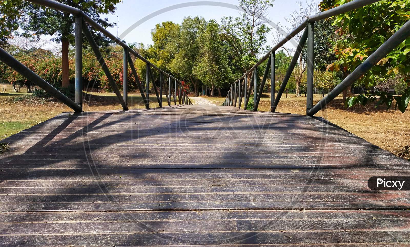 A small bridge in a park