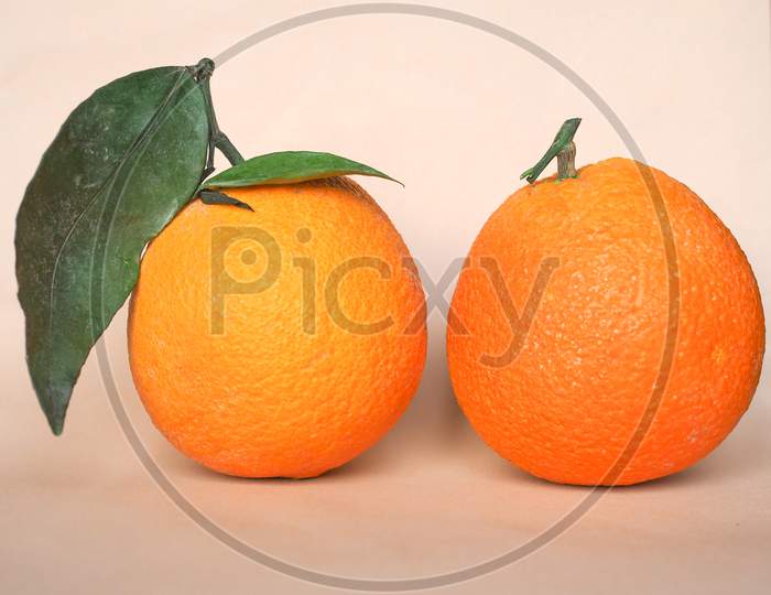 Orange Fruit (Citrus)