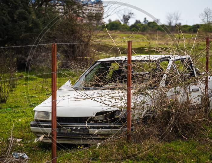 An Old Abandoned White Car Sedan With A Broken Roof, Broken Glass, Flat Wheels, Through Which Trees And Grass Have Sprouted Against The Background Of A Field
