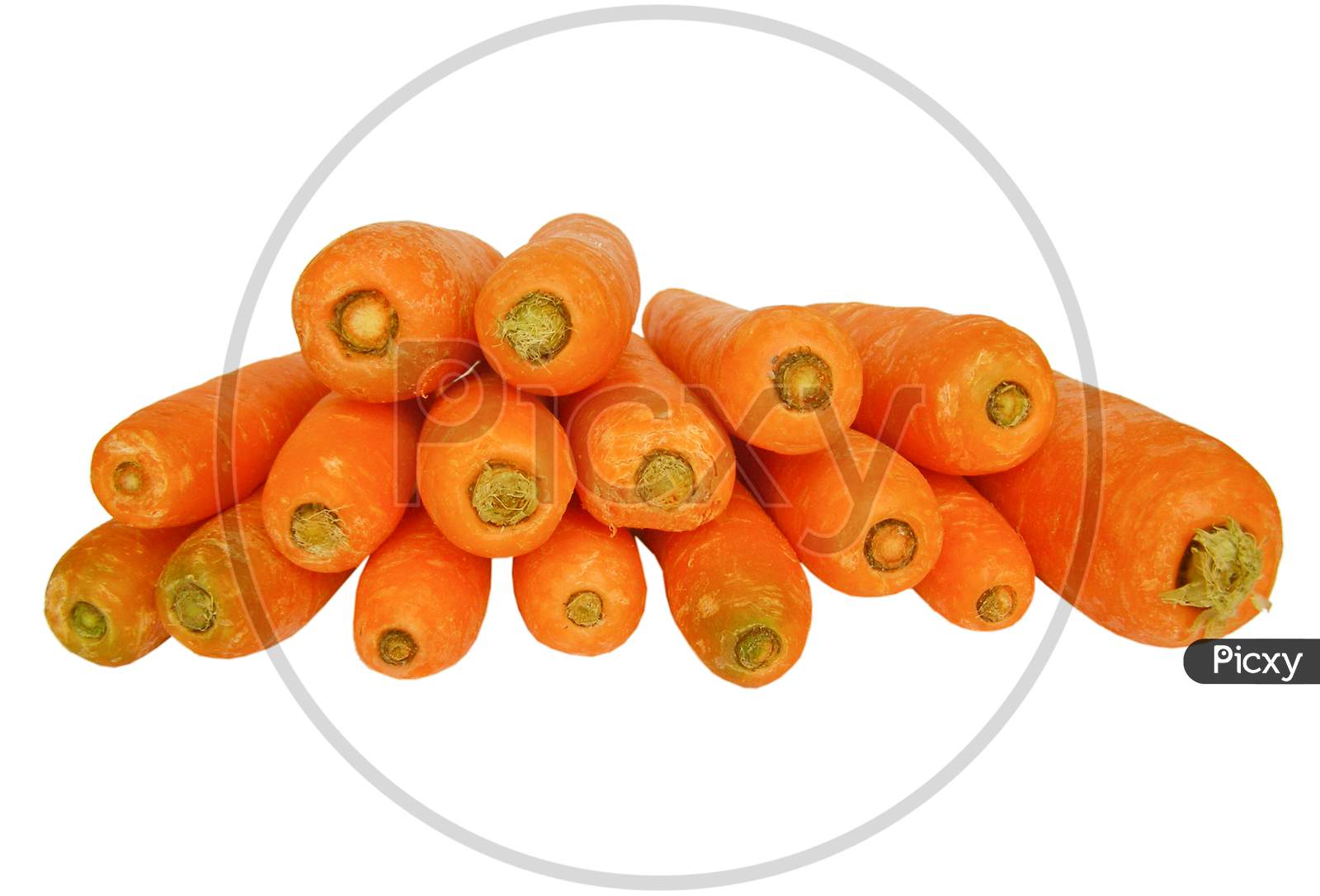 Carrots Isolated Over White
