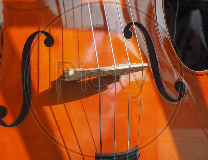 Cello Stringed Instrument