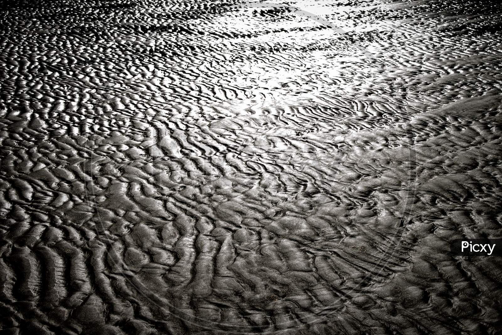 Abstract Waves Made By The Effect Of Sand And Wind. Floor Of A Deserted Beach.