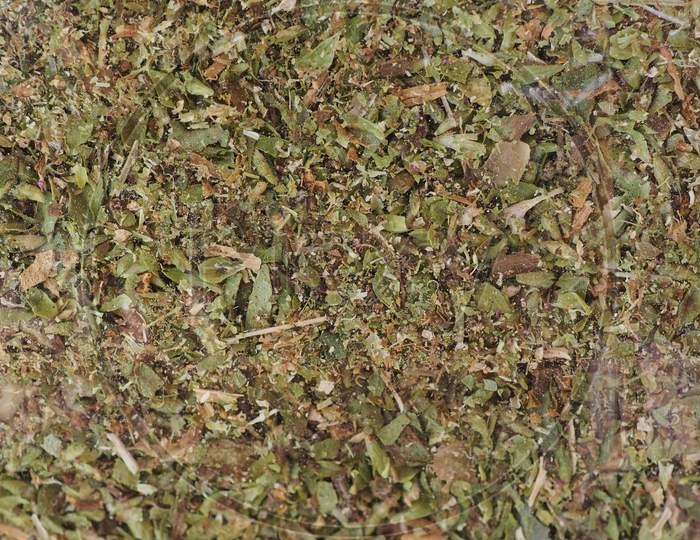 Oregano Herb (Aka Marjoram)