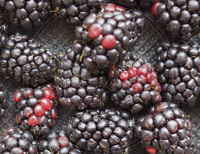 Blackberry Fruit Food