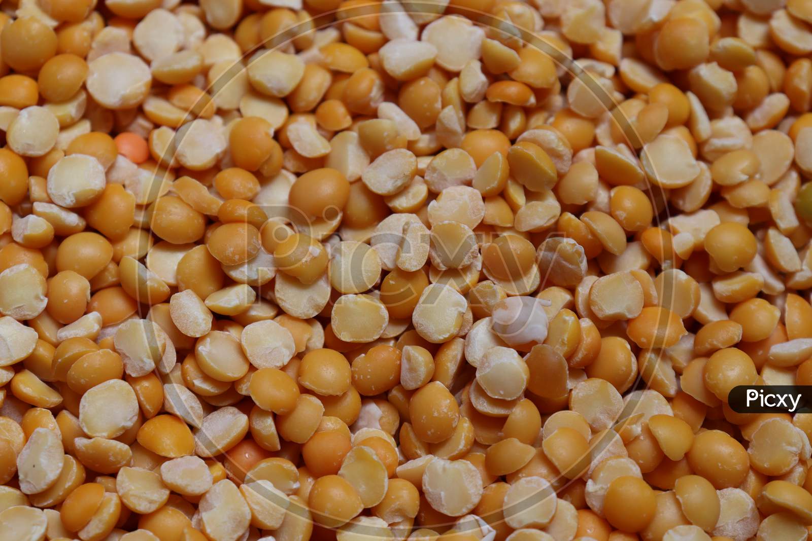 Chickpea Gram Stock On Shop For Sell