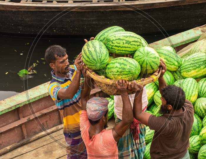 Watermelon Uploading From The Boat For Selling