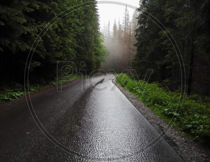 A Rainy Wet Road During Winter In The Middle Of Winter Trees Against Misty And Foggy Weather. Zakopane. Poland