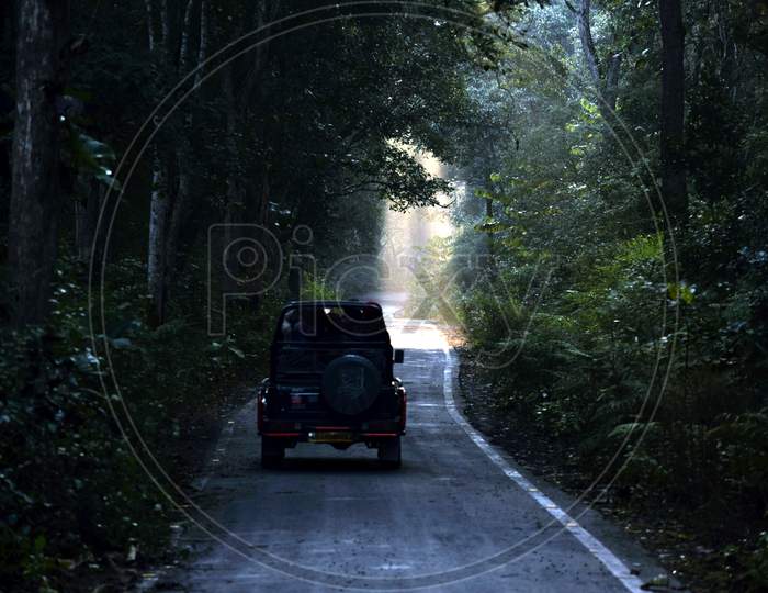 Beautiful Picture Of Jeep In A Jungle On Way To Jungle