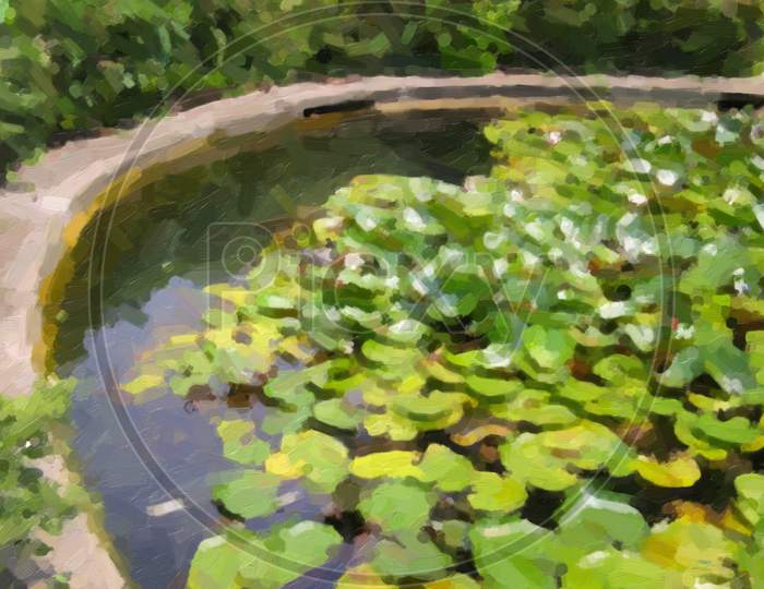 Retro Look Water Lily Nimphaea Oil Paint