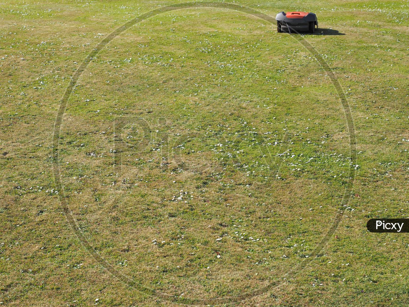 Automatic Lawn Mower Machine At Work In A Public Park