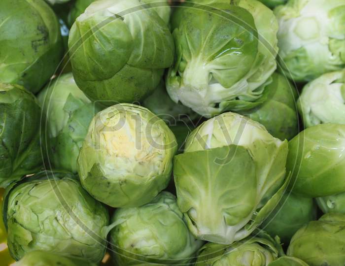 Brussels Sprout Cabbage Vegetables Food