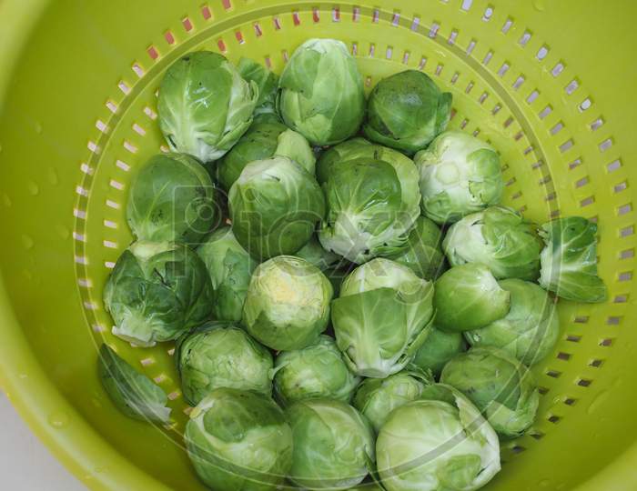 Brussels Sprout Cabbage Vegetables Food