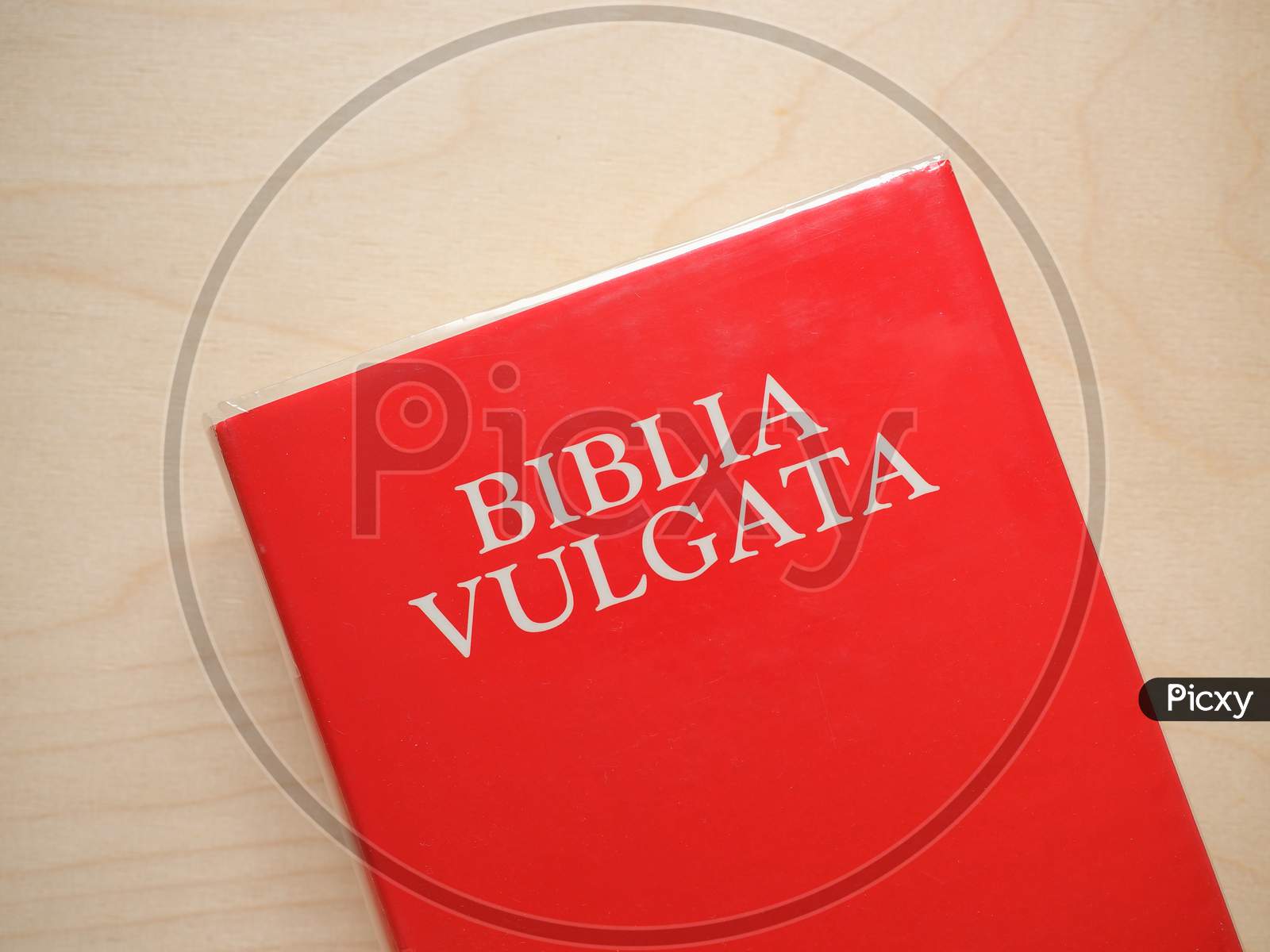 Biblia Vulgata (Vulgate Bible)