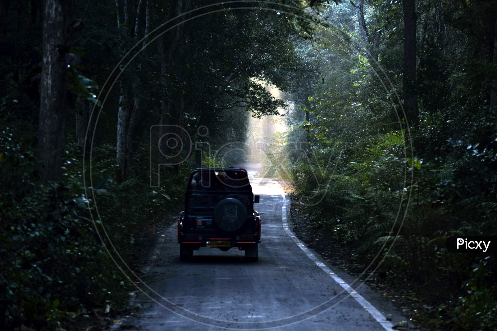 Beautiful Picture Of Jeep In A Jungle On Way To Jungle