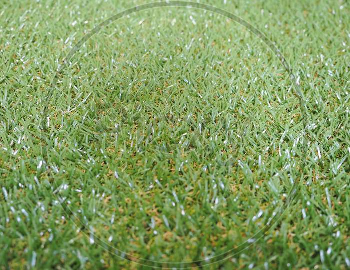 Artificial Grass Texture