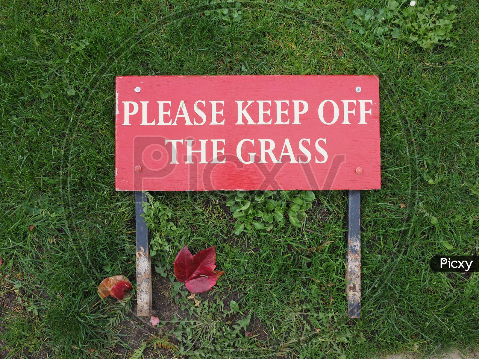 Keep Off The Grass Sign