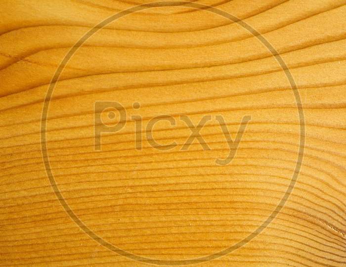 Brown Larch Wood Background