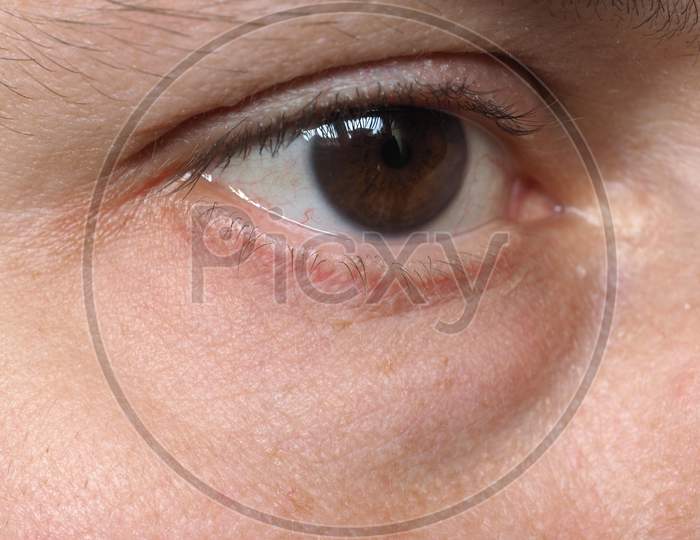 Detail Of Human Eye