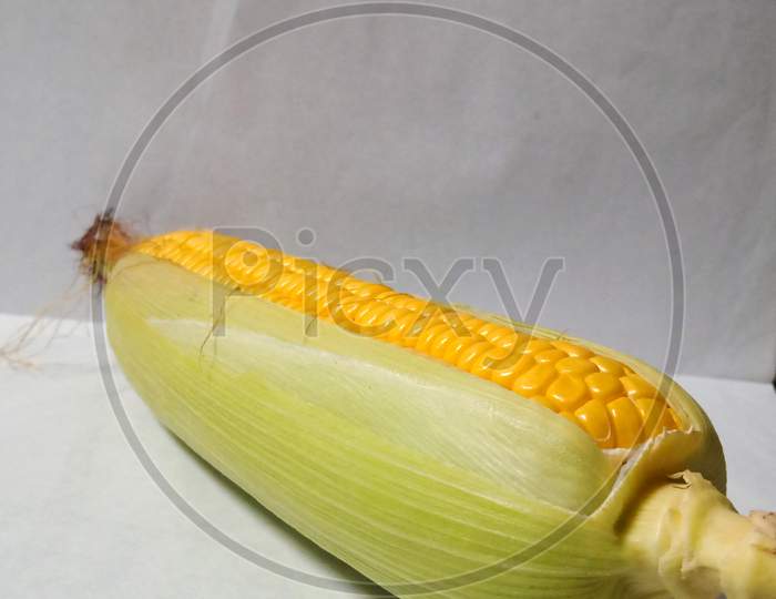 Indian yellow colour corn