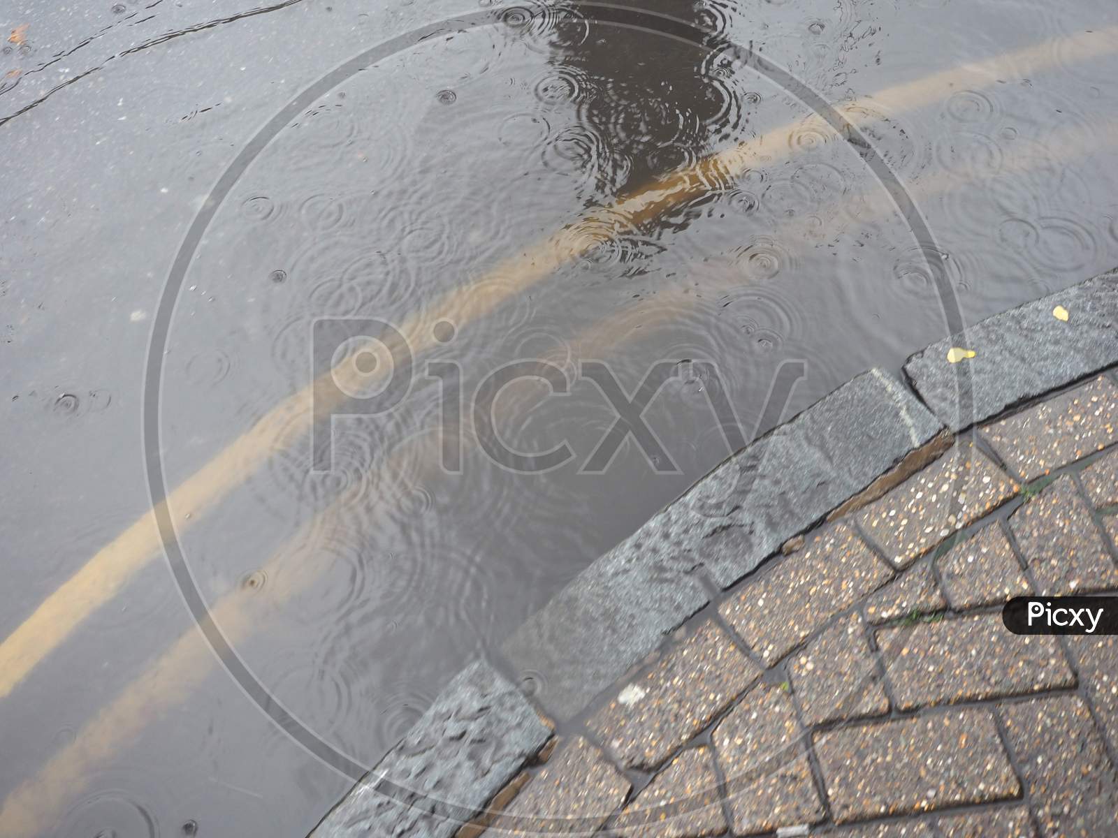 Puddle Of Rain Water