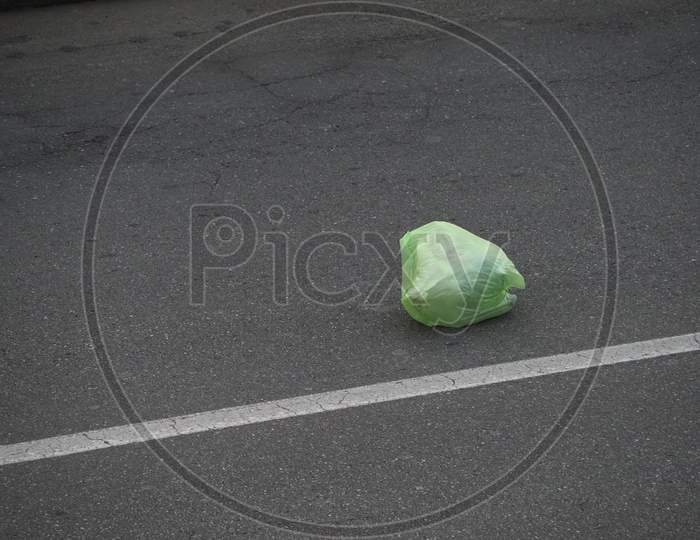Plastic Bag In The Road