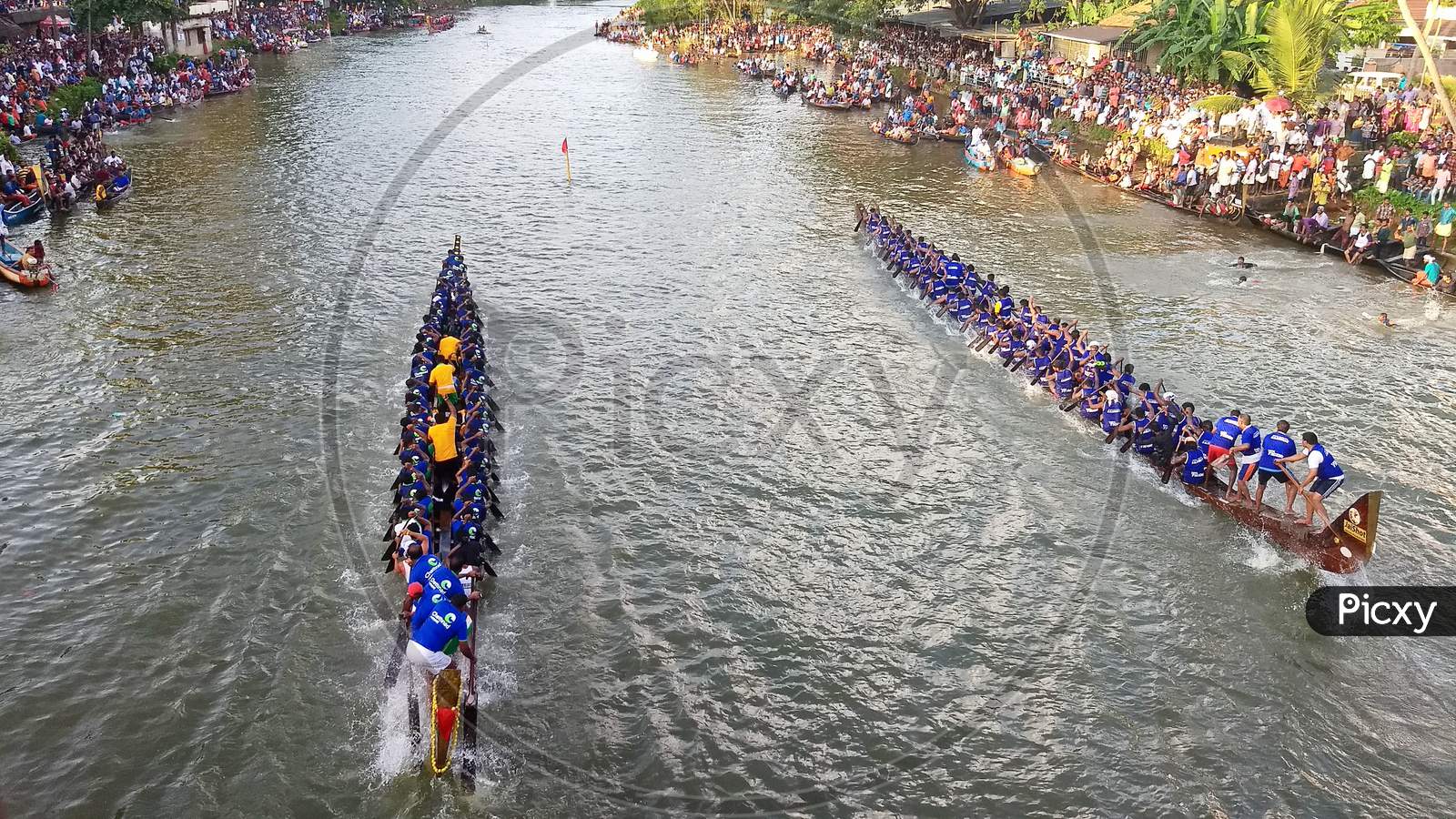 Oarsmen in a vepu boat teams row vigorously in the Kottayam Boat races