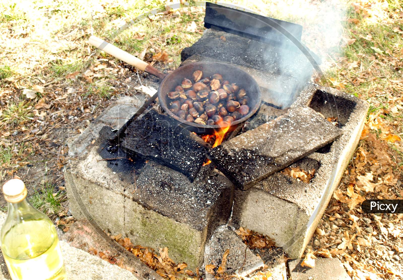 Barbecue Picture
