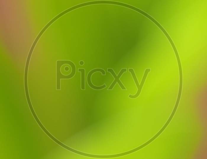 Abstract Soft Green Blur Background
